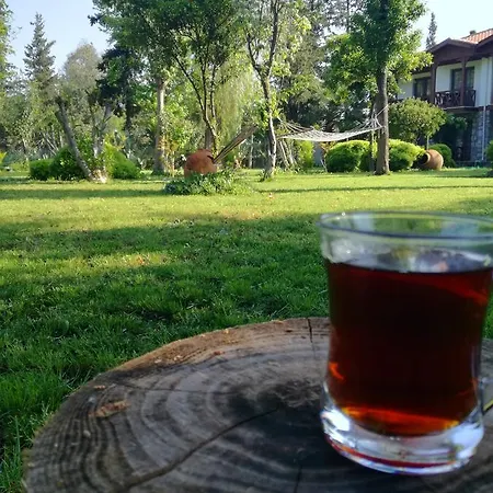 Dervi̇şhan Health Club Gasthuis