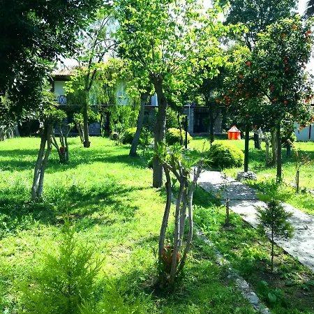 Dervi̇şhan Health Club